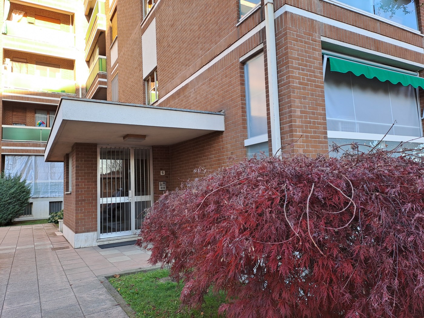 MARIA GRAZIA SAVANT ROS - codice: 10594